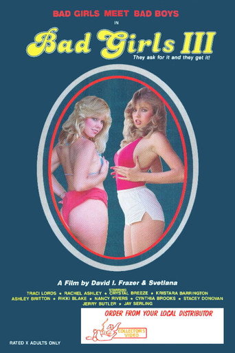 Bad Girls 3 movie poster