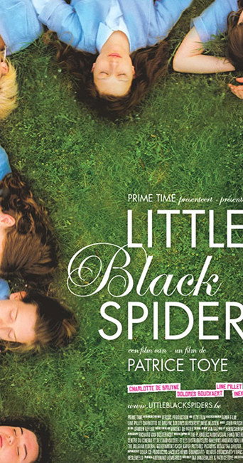 Little Black Spiders movie poster