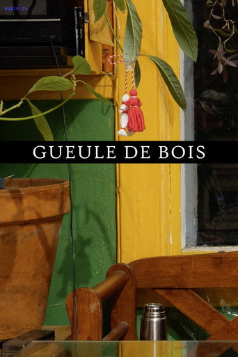 Gueule de bois movie poster