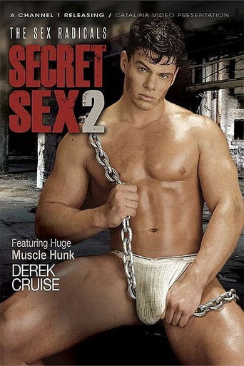 Secret Sex 2: The Sex Radicals movie poster