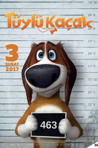 Run Ozzy Run movie poster