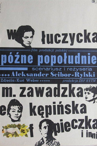 Late Afternoon movie poster