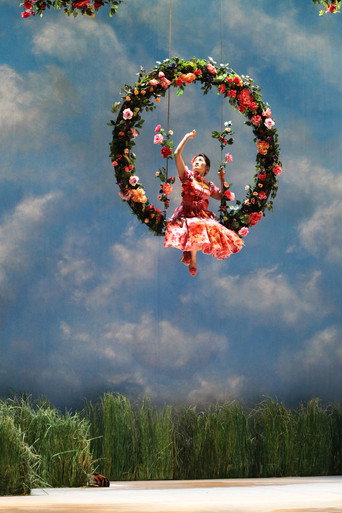 Donizetti: Don Pasquale movie poster