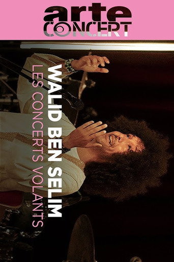 Walid Ben Selim @ Journeys Through Music movie poster