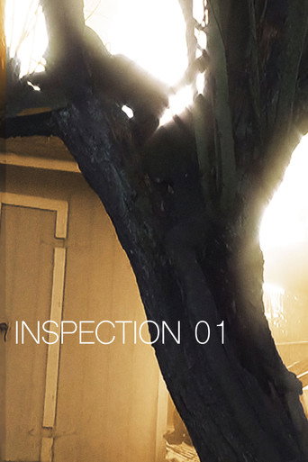 Inspection 01 movie poster