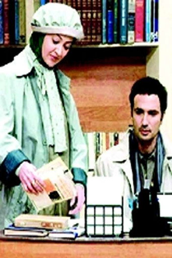 Petty Crimes of Husband and Wife movie poster