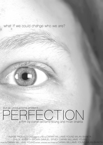 PERFECTION movie poster