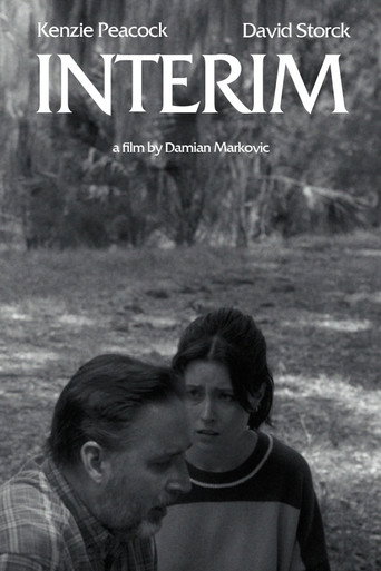 Interim movie poster