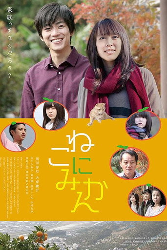 Tangerines on Cat movie poster