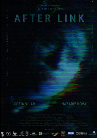 After Link movie poster