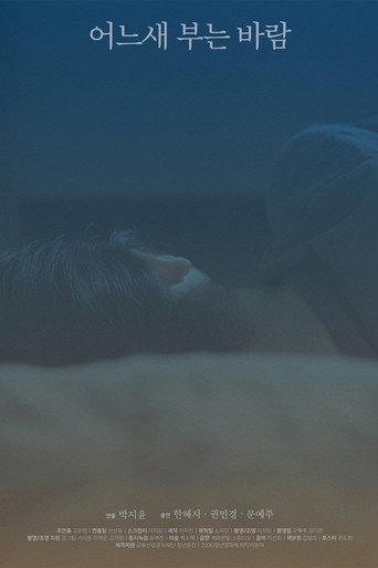 The Consolation of the Wind movie poster
