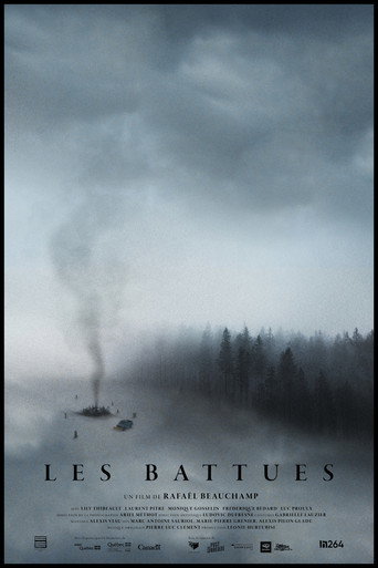 The Fading movie poster