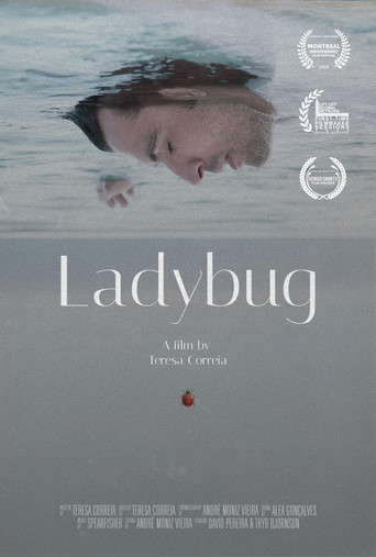 Ladybug movie poster