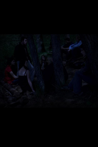 The Destructions movie poster