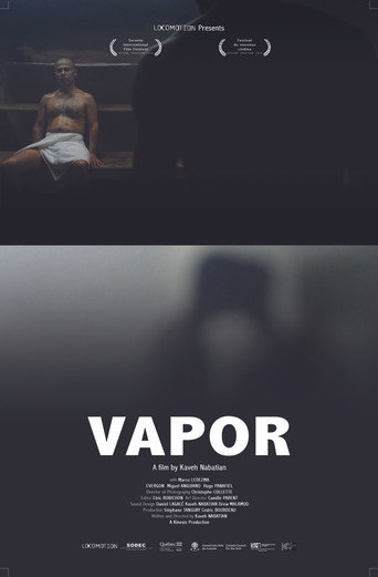 Steam movie poster