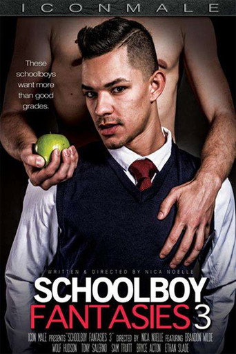 Schoolboy Fantasies 3 movie poster