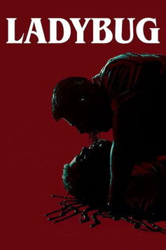 Ladybug movie poster