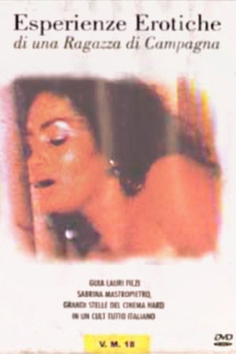 The Essence of Sex movie poster