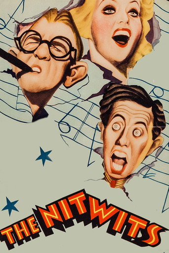 The Nitwits movie poster