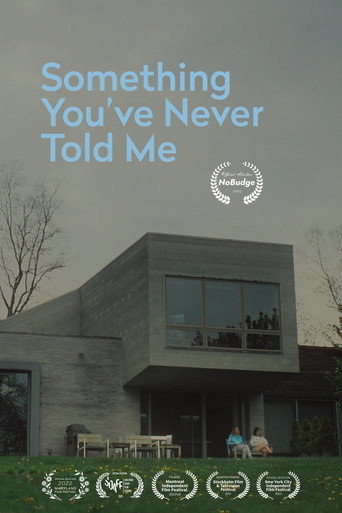 Something You've Never Told Me movie poster