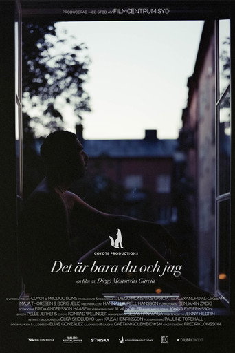 Det är bara du och jag movie poster
