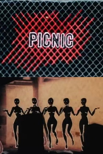 Picnic movie poster