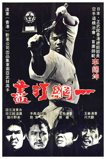 The Thunder Kick movie poster