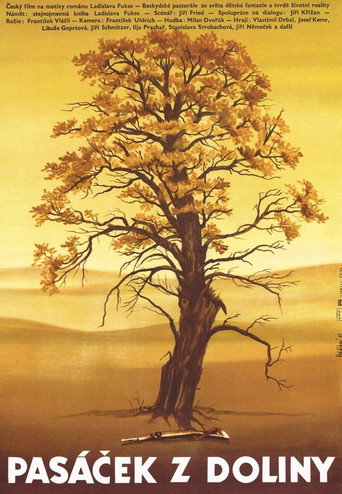 The Little Shepherd Boy from the Valley movie poster