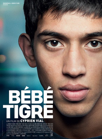Young Tiger movie poster