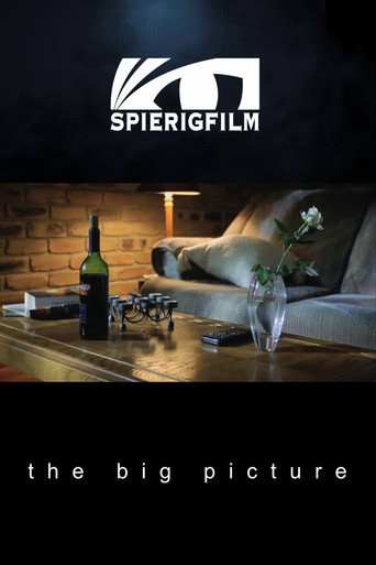 The Big Picture movie poster