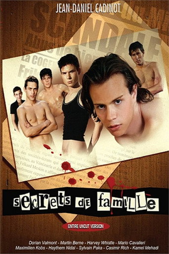 Secrets de famille movie poster