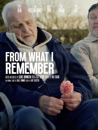 From What I Remember movie poster