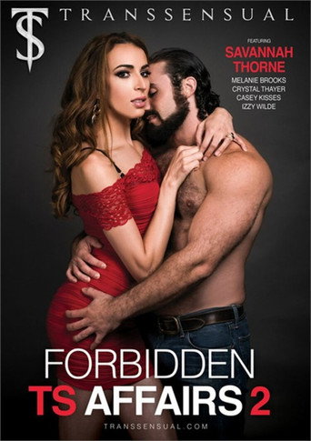 Forbidden TS Affairs 2 movie poster