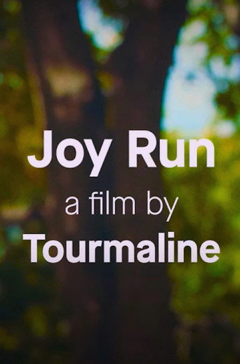 Joy Run movie poster