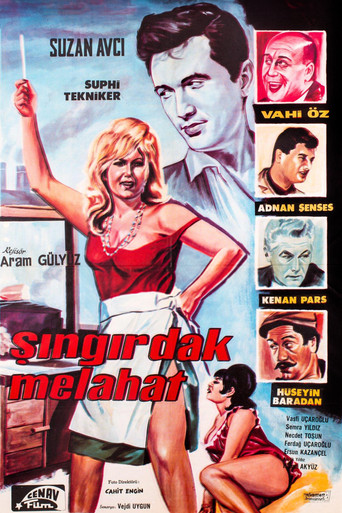 Şıngırdak Melahat movie poster