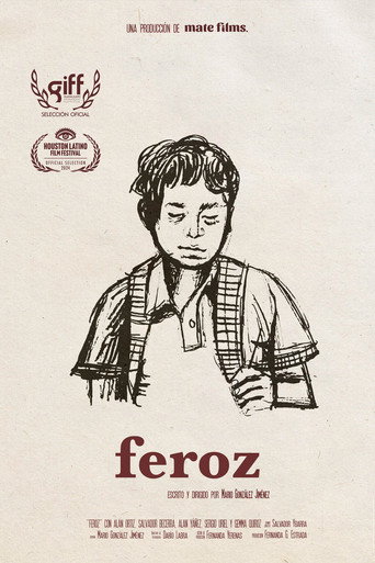 Feroz movie poster