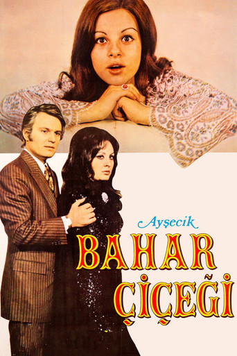 Ayşecik: Bahar Çiçeği movie poster