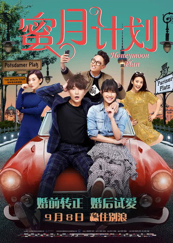 Honeymoon Plan movie poster