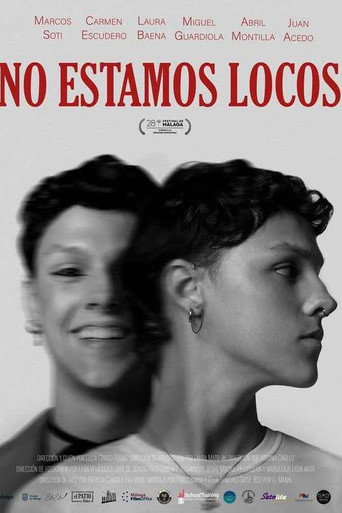No estamos locos movie poster