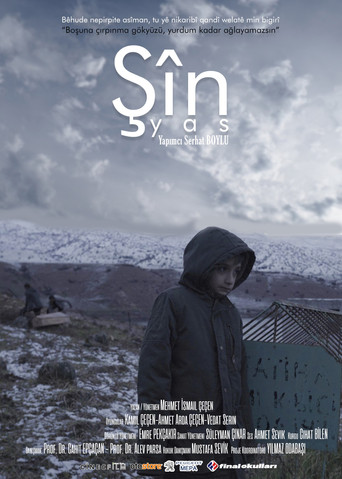 ŞİN movie poster