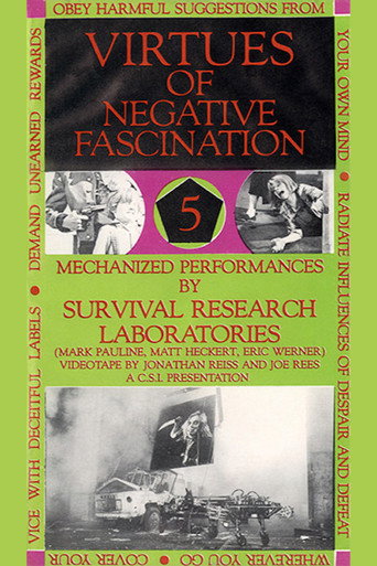 Virtues Of Negative Fascination movie poster