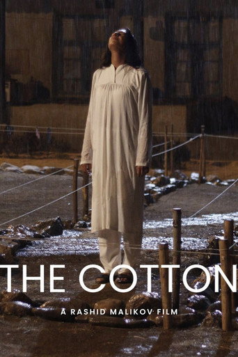 Cotton movie poster