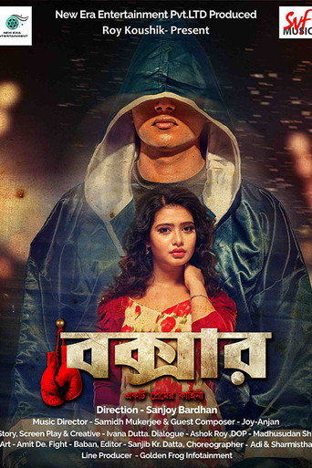 Boxer movie poster