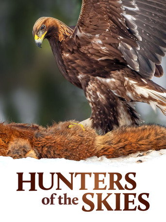 Hunters of the Skies movie poster