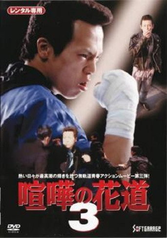The Way to Fight 3 movie poster