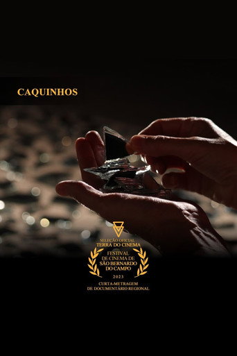 Caquinhos movie poster