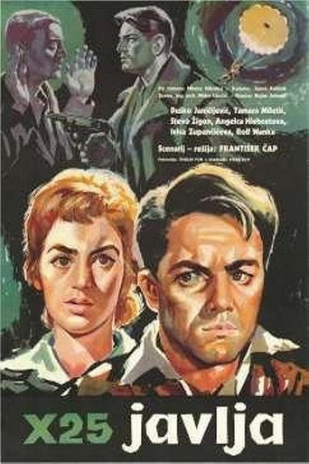 X-25 Reports movie poster