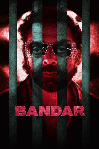 Monkey In A Cage movie poster