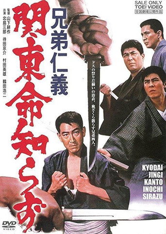 Code Between Brothers 5 movie poster
