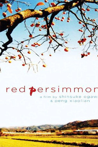 Red Persimmons movie poster